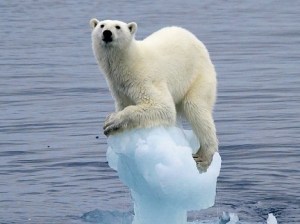 ice_melting_2