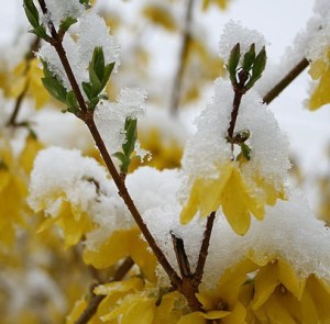20130318_krasnodara