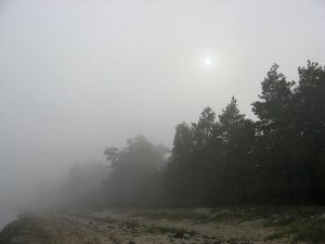 20131013_migla_260910