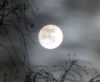 fullmoon