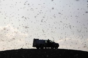 20130306_siseni_Izraela_2