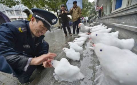 Cik mīļi bērni!Nez kur gan tā māte vazājas apkārt? Es taču nevaru pabarot VIŅUS VISUS!!!