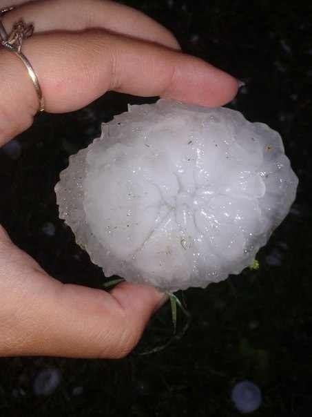 Krusas grauds 7.5 cm Baltkrievijā Vitebskas apgabals 18.05.14 @ Ivan Prokofyev