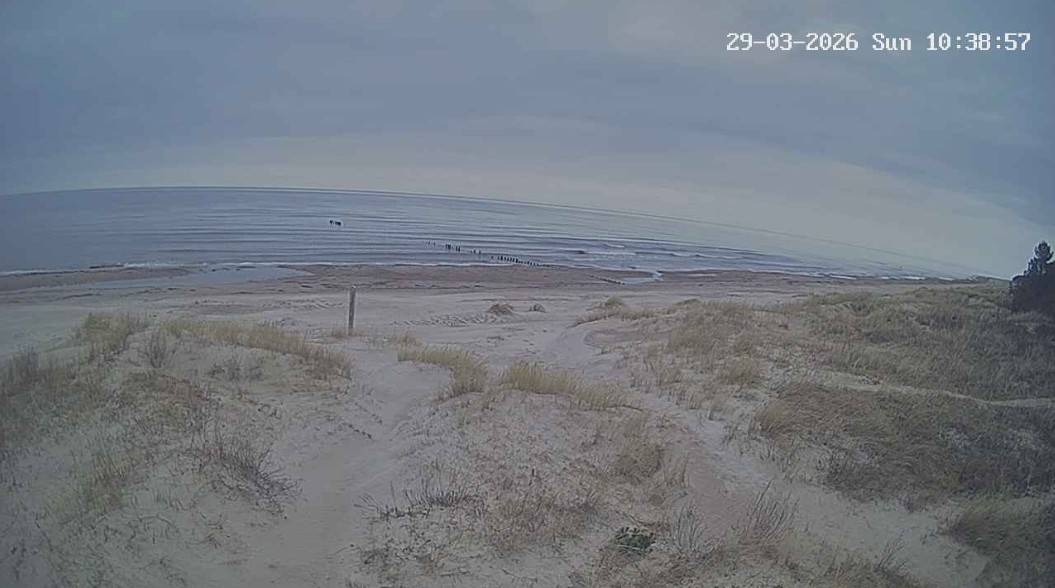 Jūras Krasti — tīmekļkamera